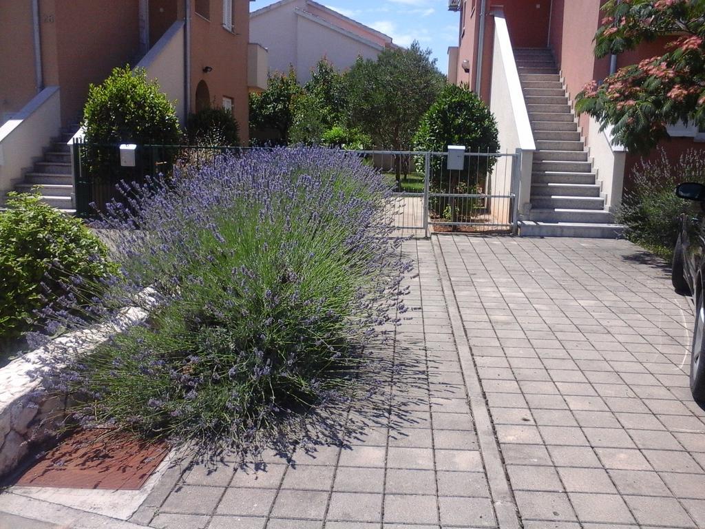 Apartments Danica Vodice Esterno foto